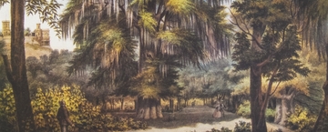 Ecologistas en el siglo XIX