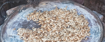 Ritual, medicinal y alimenticia
