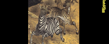 Un libro en ocho días