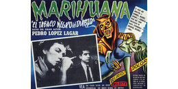 De la marginalidad a la legalización de la marihuana 