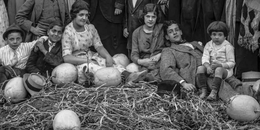 ¡Calabacitas tiernas!