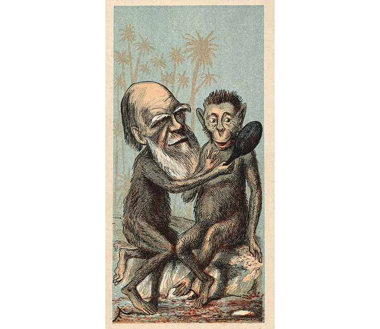 La polémica que causó la teoría darwinista en el México del siglo XIX