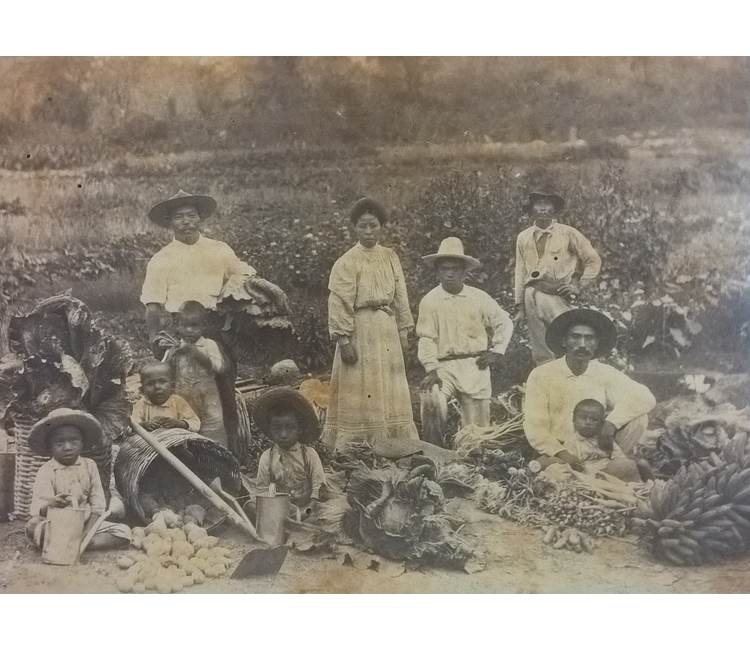 La primera comunidad japonesa en Chiapas 