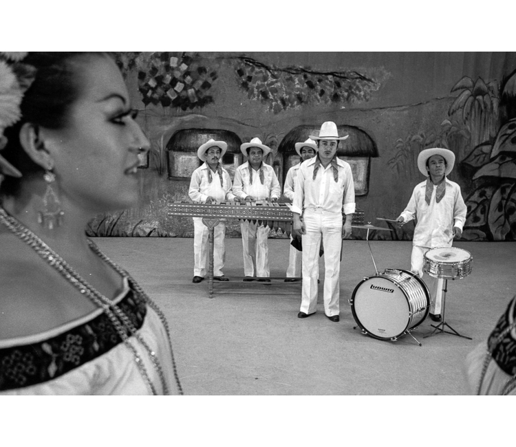 ¿Quiénes son los jarochos? Relatos e Historias en México ¿Quiénes son los jarochos? Relatos e Historias en México