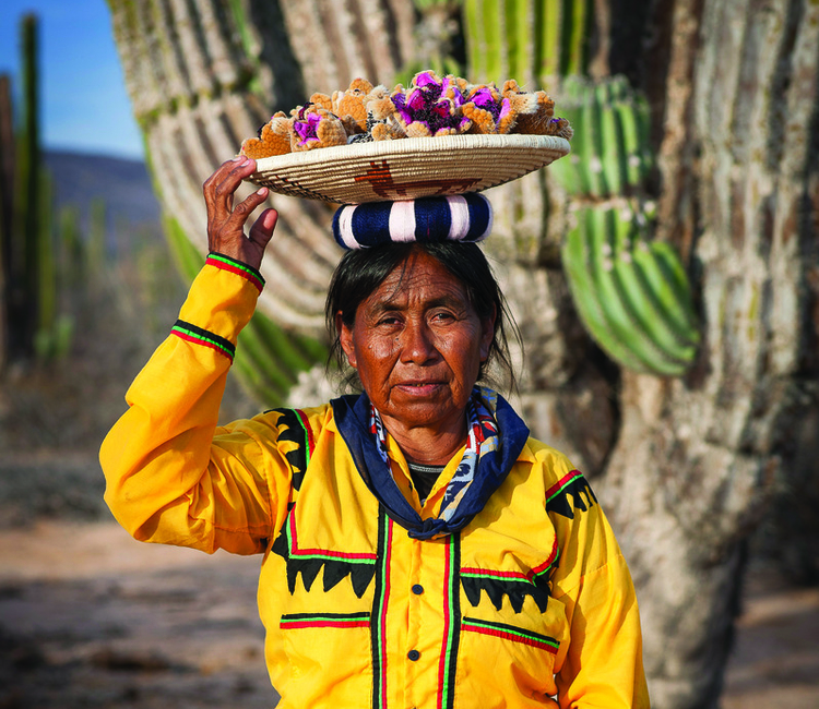 La interminable lucha de los seris Relatos e Historias en México La interminable lucha de los seris Relatos e Historias en México