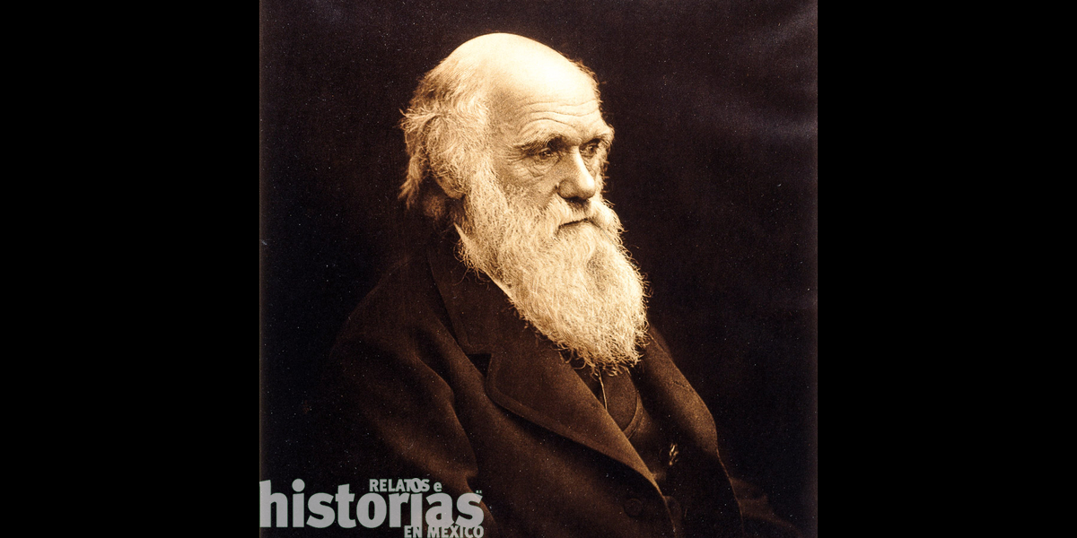 La polémica que causó la teoría darwinista en el México del siglo XIX