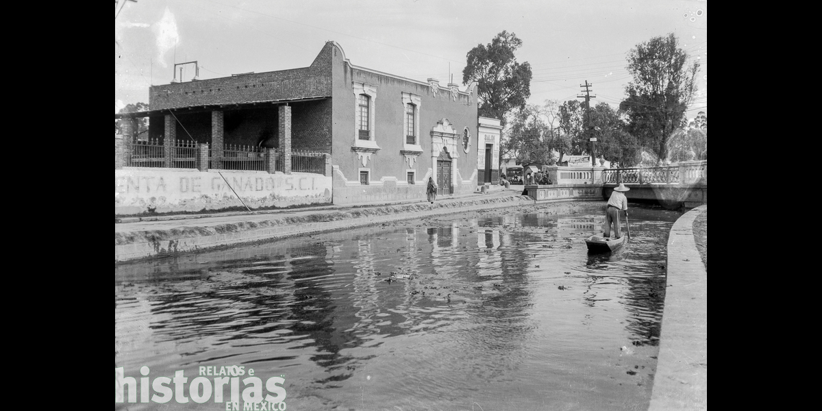 ¿Qué avenidas importantes de la Ciudad de México eran caudalosos ríos de agua cristalina? 