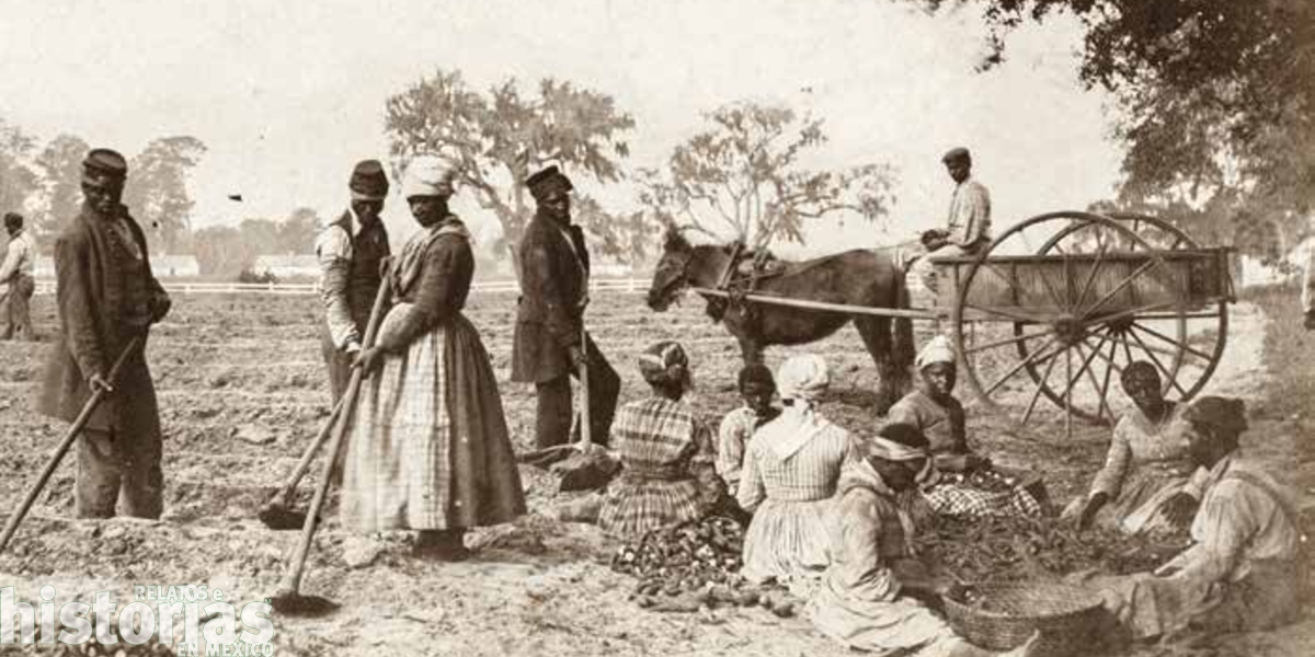 La esclavitud en el virreinato de la Nueva España