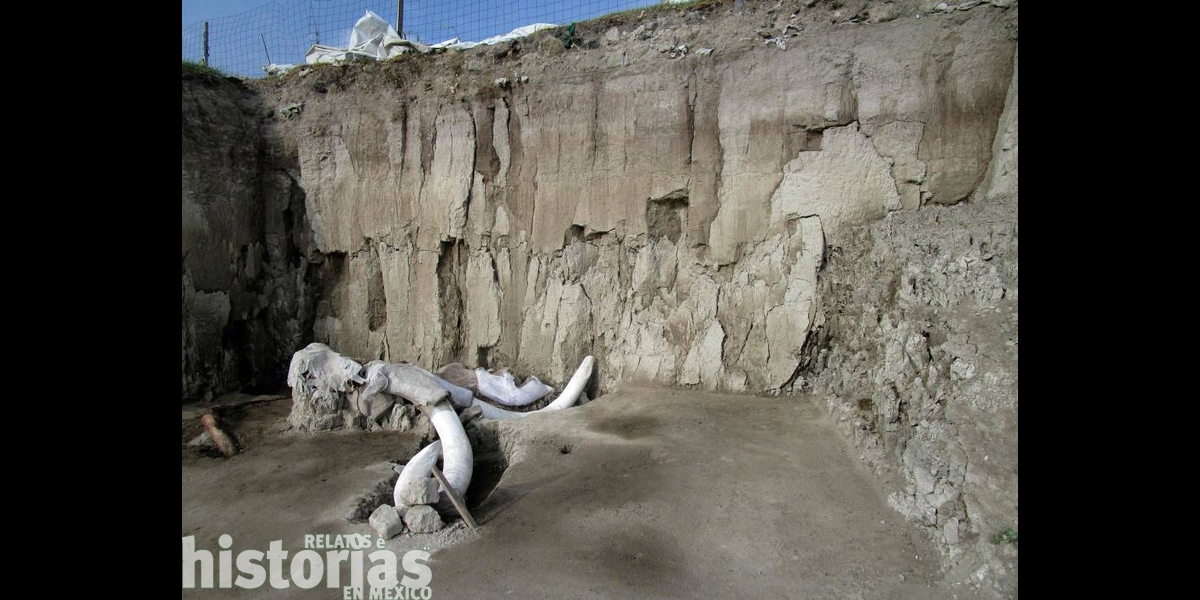 Hallazgo de 14 mamuts en Tultepec, Estado de México