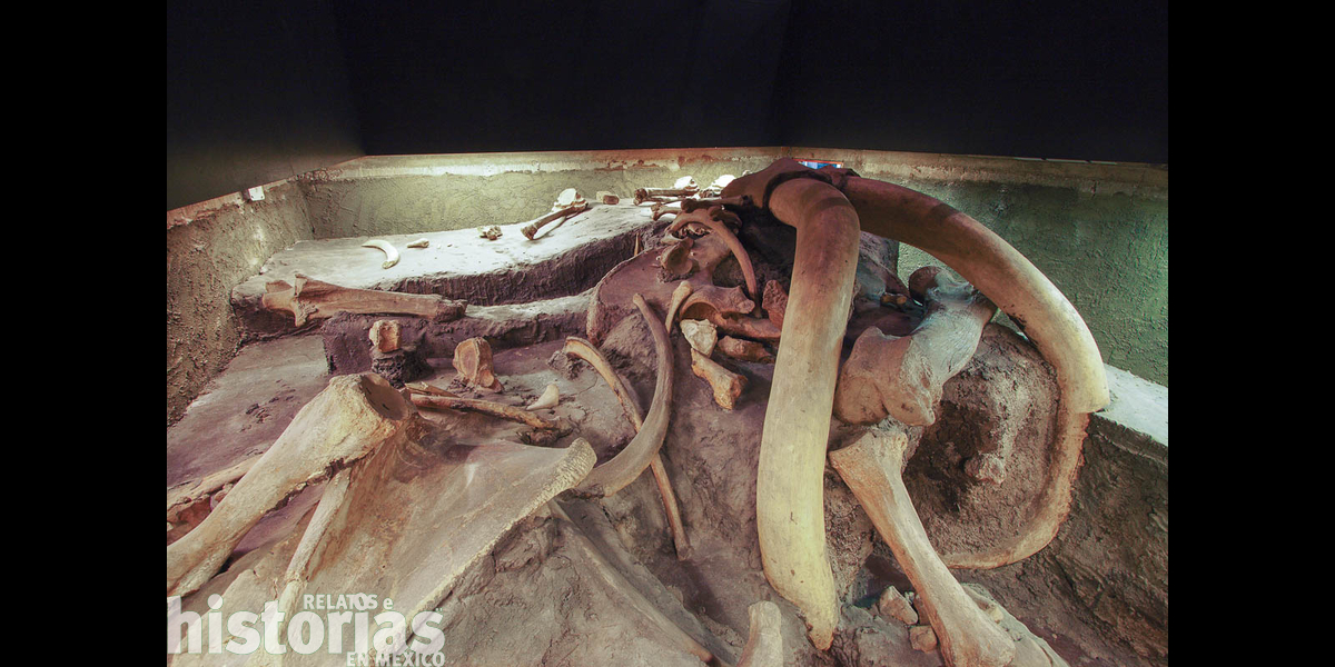Por qué el ícono del Metro Talismán en Ciudad de México es un mamut? | Relatos e Historias en México Por qué el ícono del Metro Talismán en Ciudad de México es un mamut? | Relatos e Historias en México