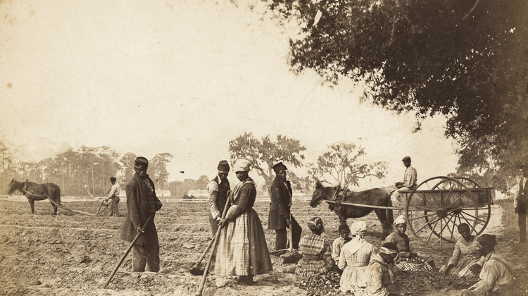 Los exesclavos negros que llegaron al norte de México en el siglo XIX