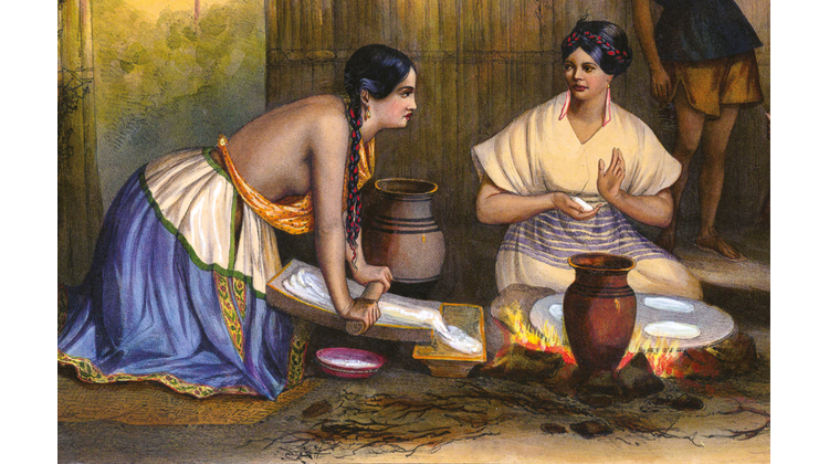 ¿Cómo se creó la diversidad de la cocina mexicana?
