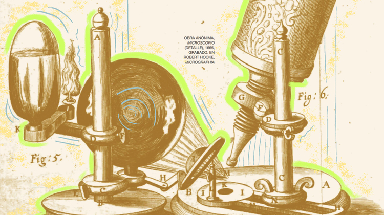 MICROCOSMOS EN LA NUEVA ESPAÑA: VER LO INVISIBLE CAMBIÓ LA HISTORIA